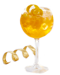 Gin-Tonic Orange Twist