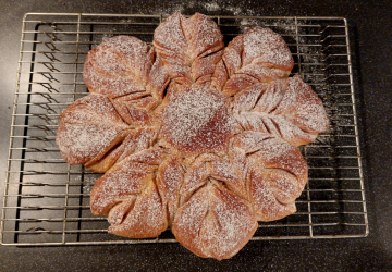 Ster-sneeuwvlok Brioche