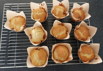 Vanille muffins