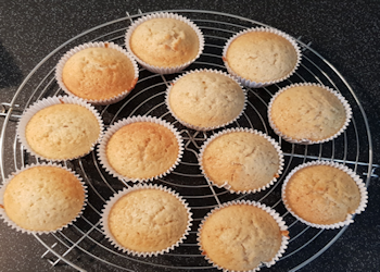 Bakkerij, klein gebak – Basis-voor-muffins